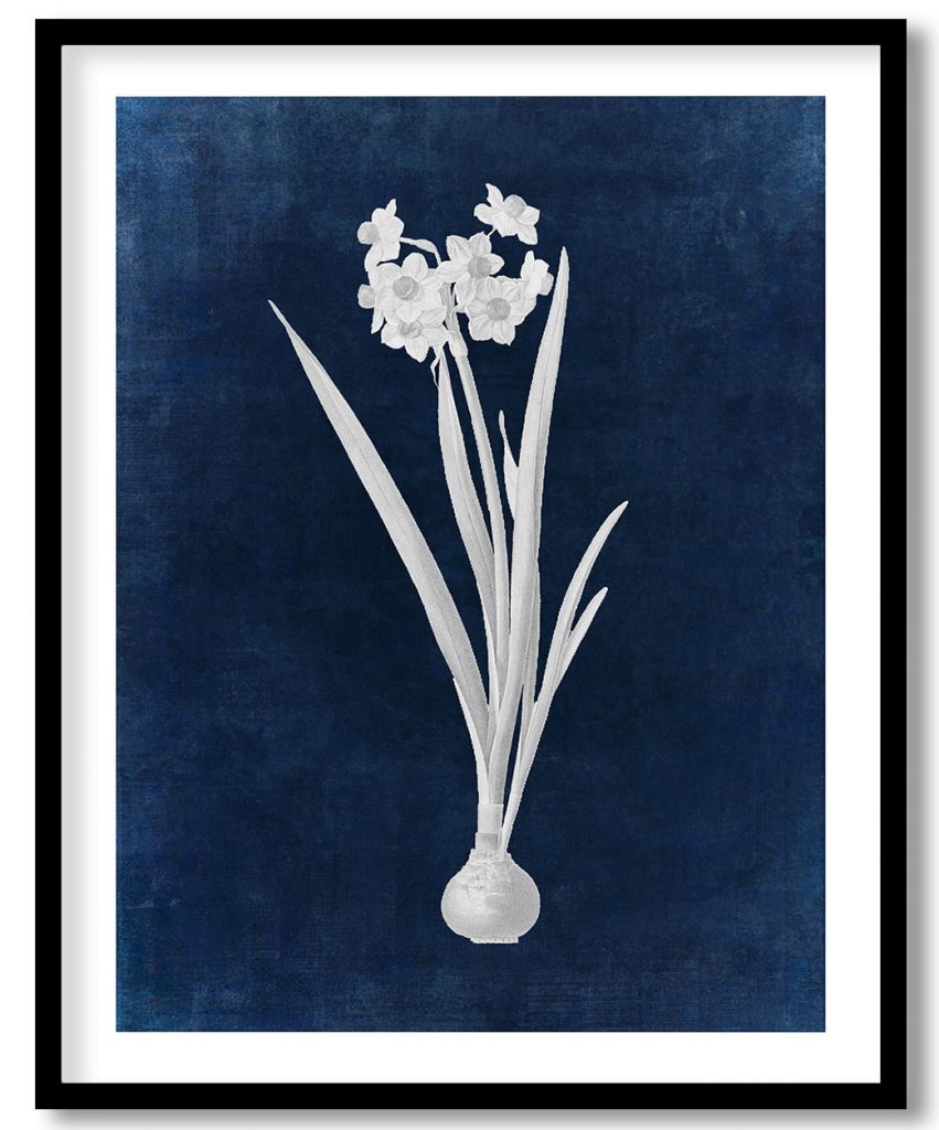 Daffodil - Indigo Pressed