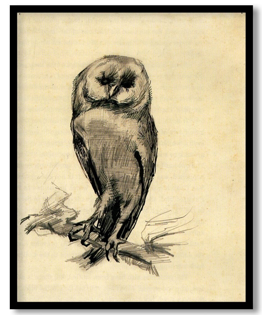 Barn Owl Viewed from the Front by Vincent van Gogh (1887)