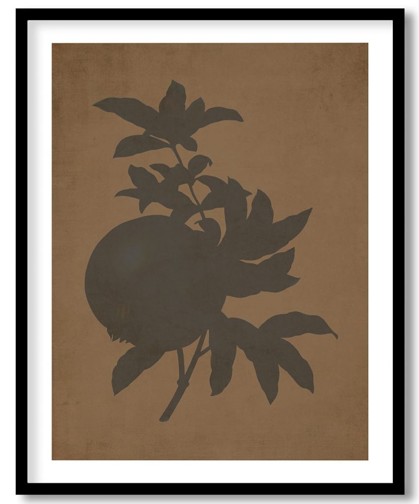 Grenade botanical - Walnut Pressed