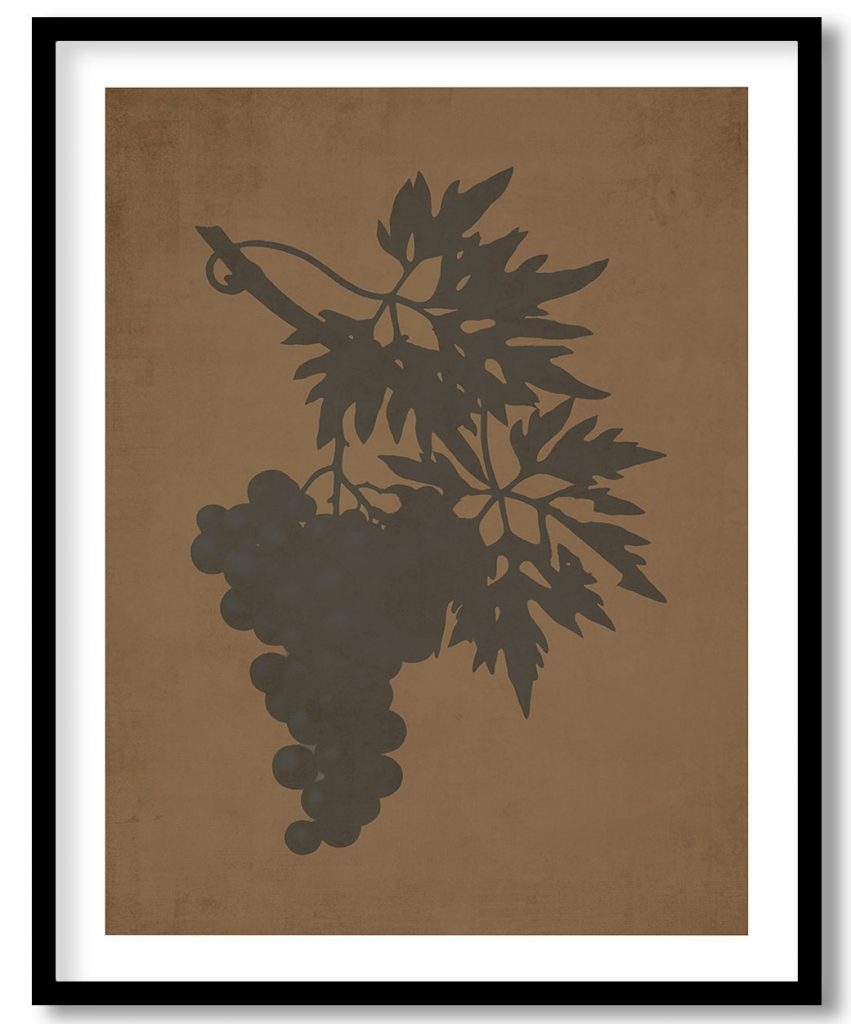 Grape vine, Vitis laciniata - Walnut Pressed