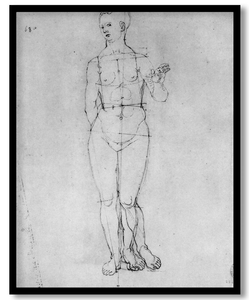 Female Nude by Albrecht Durer (1506)
