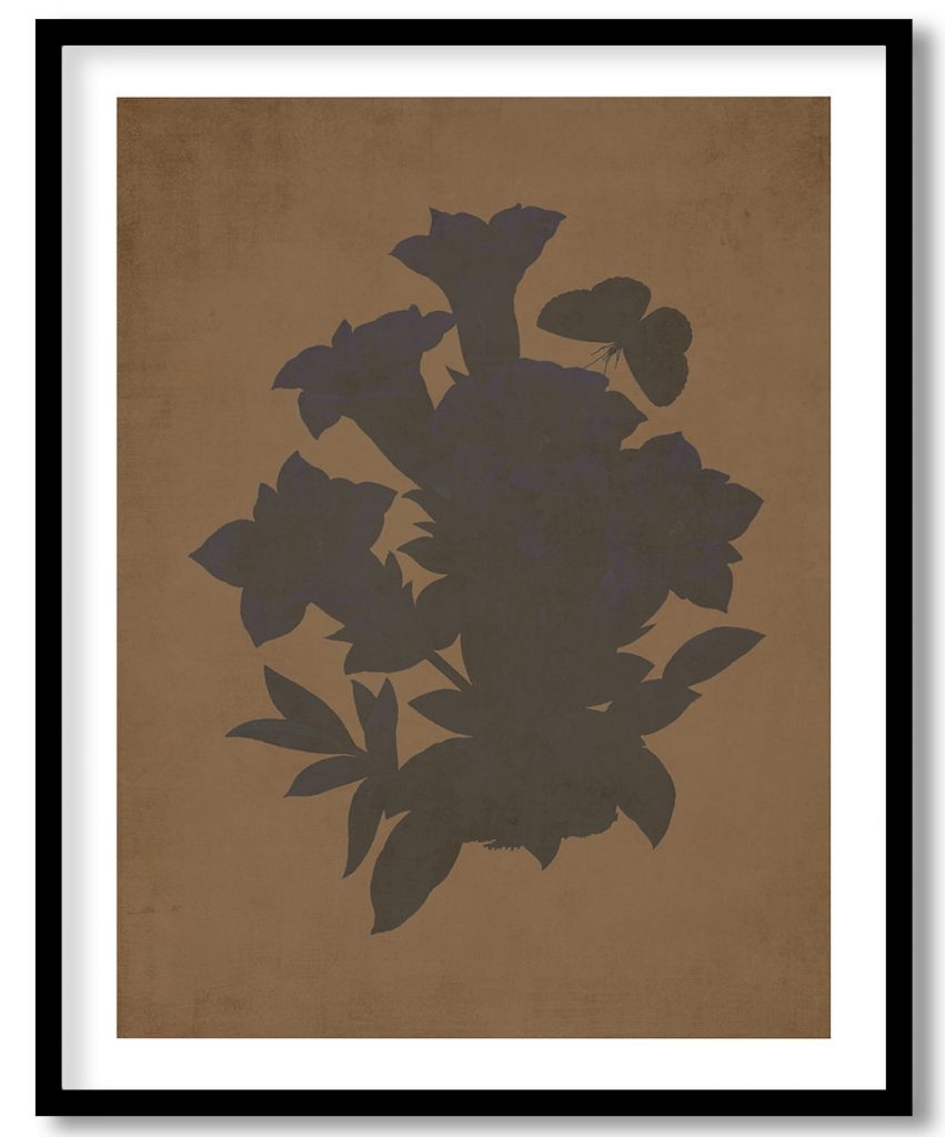 Gentiana Acaulis flower botanical - Walnut Pressed