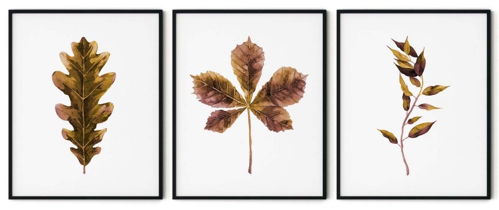 Set of 3 autumn leaves