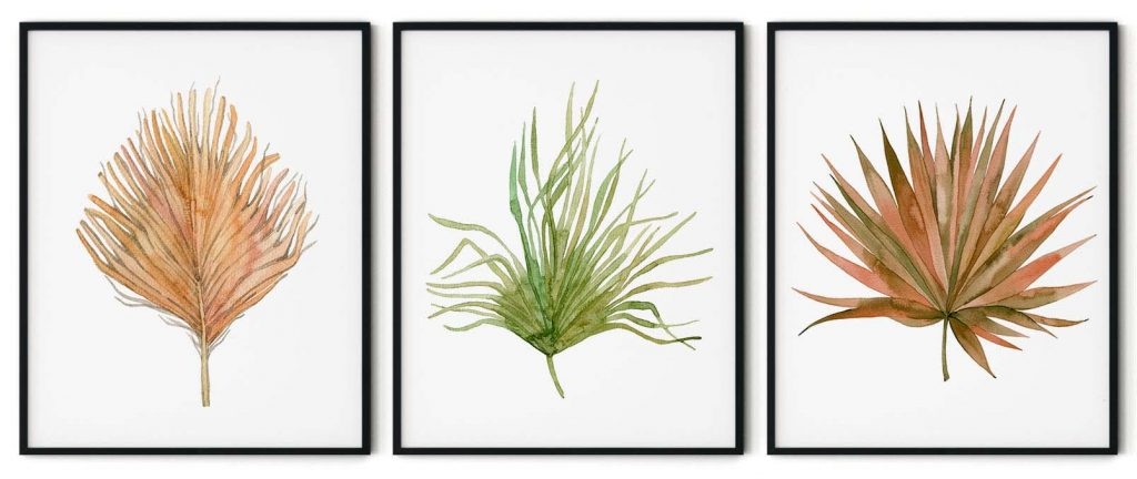 Set of 3 fan leaves botanical