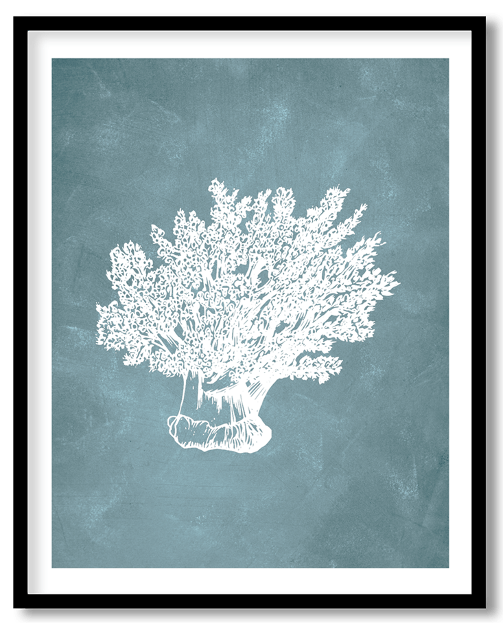 Blue gorgonian coral