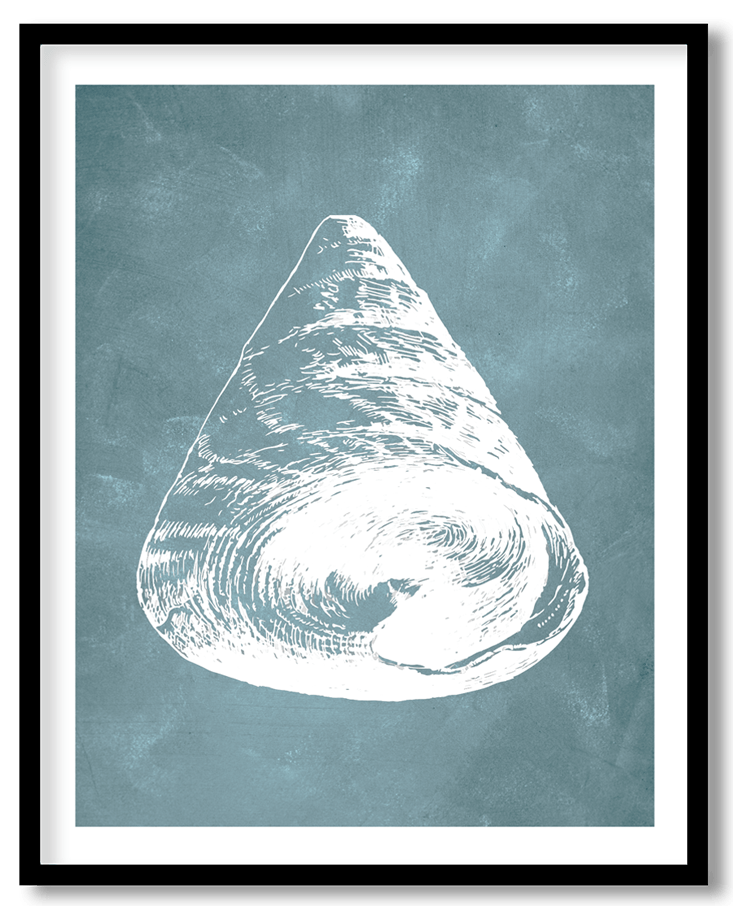 Blue hand drawn seashell #27