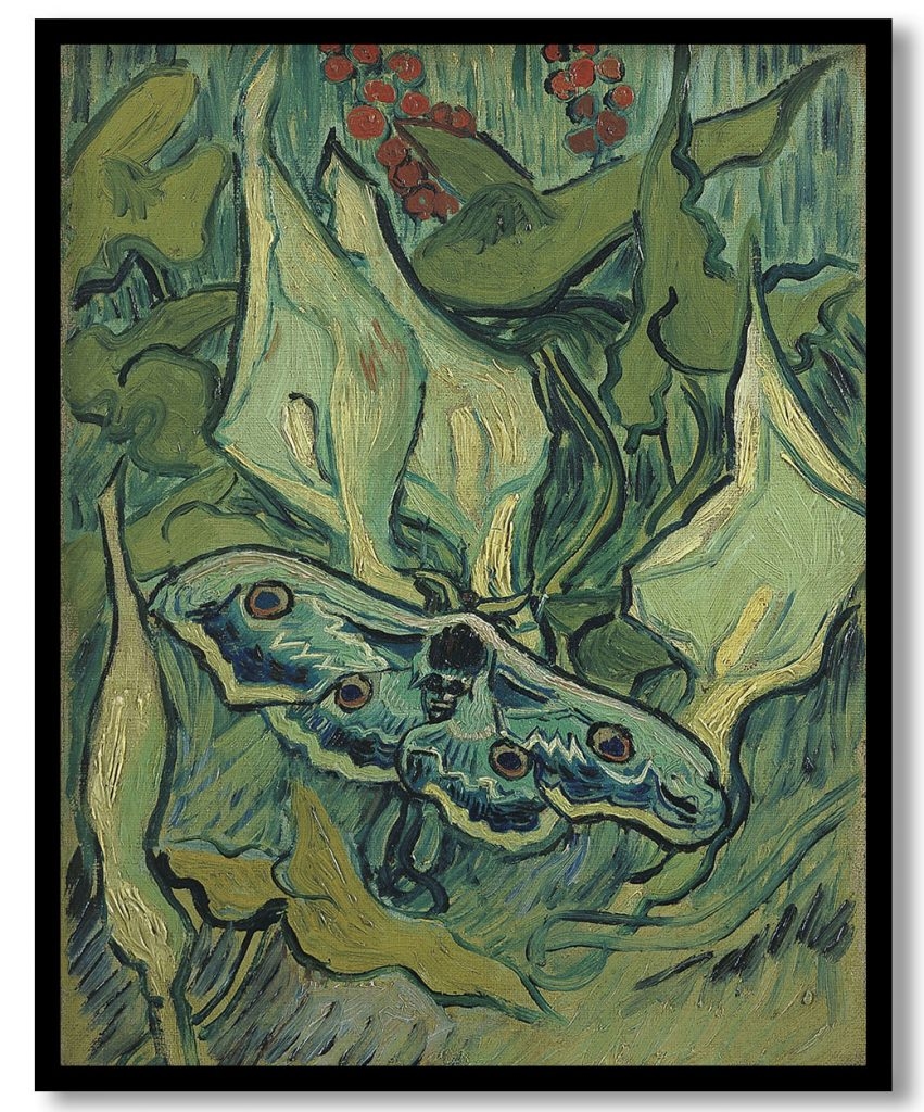 Giant Peacock Moth by Vincent van Gogh (1889-89)