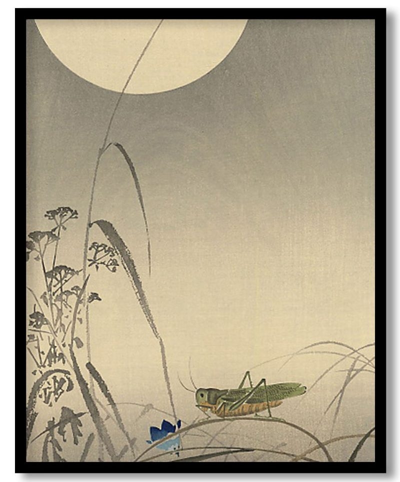 Grasshopper and Fool Moon by Ohara Koson (1910)