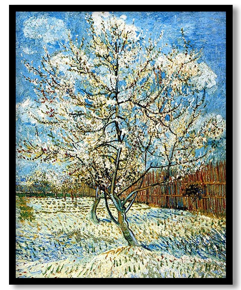 Peach Trees in Blossom by Vincent Van Gogh (1888)