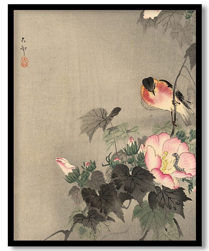 Stonechat And Blossoming Flower by Ohara Koson (Unknown)