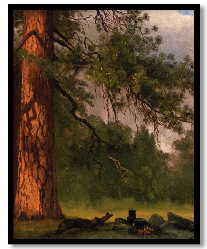 Yosemite Camp Kitchen by Albert Bierstadt (Unknown)