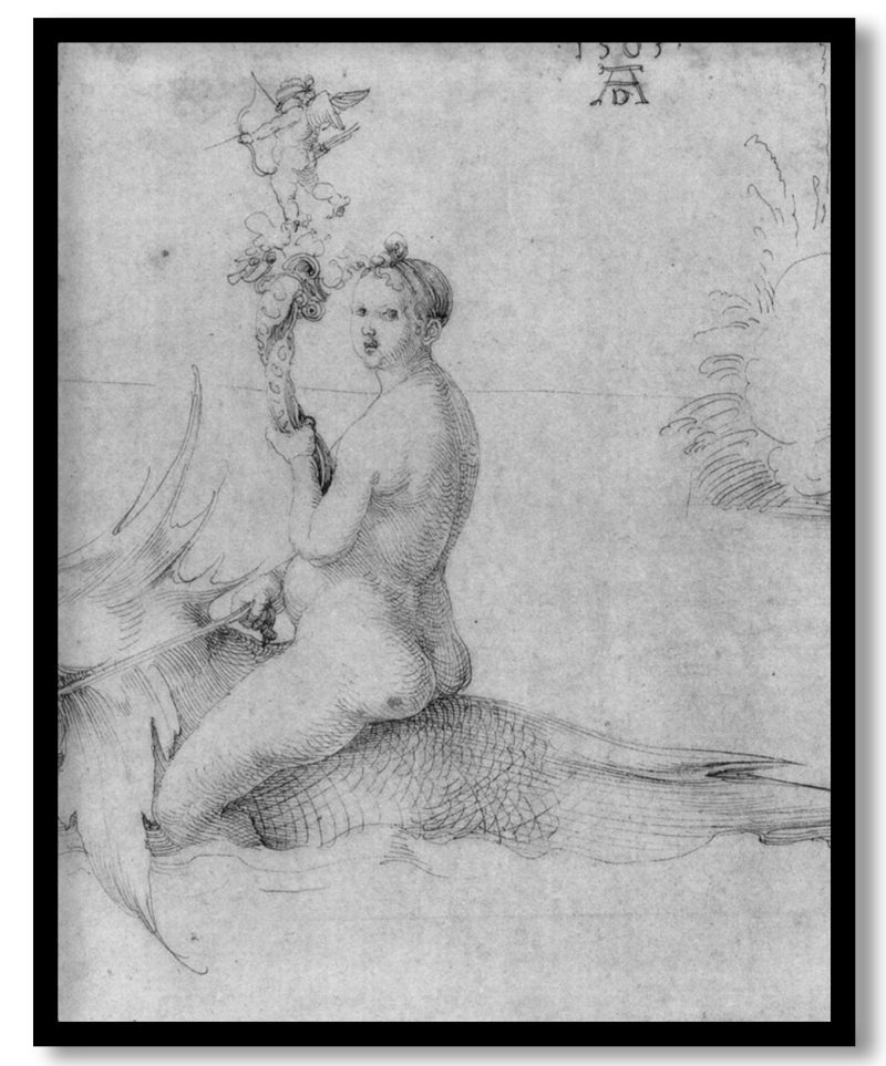 Venus on a dolphin by Albrecht Durer (1503)