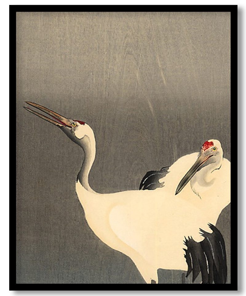 Two white cranes by Ohara Koson (1910)