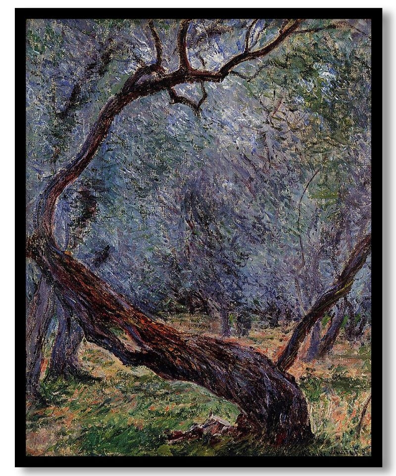 Olive Trees (Study) by Claude Monet (1884)